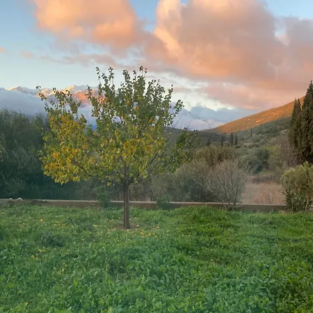 Stellas Near Arachova Διαμέρισμα