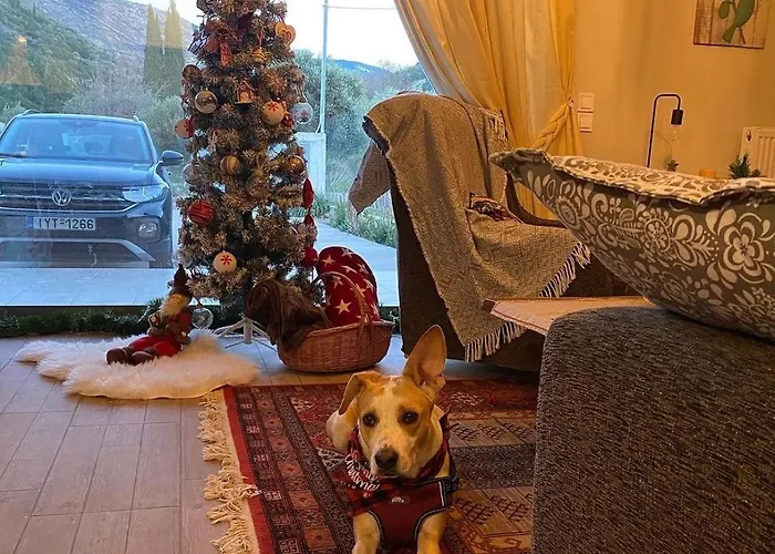 Stellas Near Arachova *